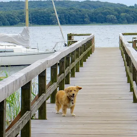 Urlaub Bei Charly App. Seeblick